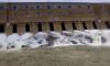 Farmers Protests Against The CWRC's Order To Release Cauvery Water To Tamil Nadu