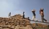 Food Corporation sold rice to ethanol plants below procurement cost, Centre tells Parliament