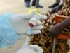 First Ebola vaccine trial starts in DRC