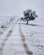 PICS | Snow blankets parts of South Africa and Lesotho