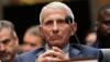 GOP-led Senate panel votes to hold Anthony Fauci in contempt