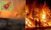 Millions told to close windows NOW as heart attack-causing toxins from wildfires engulf five US states