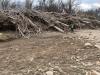 U.S. Army Corps of Engineers awards Cherokee National Forest debris removal contract