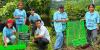 Plantation Drive Marks International Tiger Day at GUPS Lobi