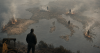 The other 'Perejiles' of Europe: those accused of provoking the great fires of France, Portugal, Greece, and Italy