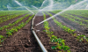 Development partners will provide Moldova with 130 million euros to modernize its irrigation system