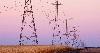 Nebraska Reins in Data Center Perks Amid Resource Scrutiny