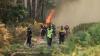 Travel experts pick top summer destination as wildfires ravage Spain, Italy and France