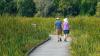 Why It’s Hard to Invest Your Retirement Sustainably — and How You Can Overcome the Obstacles