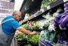 Michigan Cyclospora Outbreak May Have Reached Its Peak
