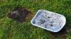 Government to issue response after thousands call for UK-wide BBQ ban