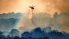 Can Europe’s insurers keep up as wildfires drive rising climate losses?
