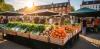 Local Food Systems Are Interdependent