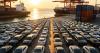 Imported Cars, Just Can't Move