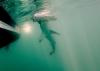 Hammerhead shark caught and tagged for first time off Rhode Island