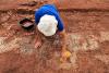 A Metal Detectorist Discovered Tiny Tiles in a Farmer's Field. A Spectacular Ancient Roman Mosaic Was Buried Beneath the Surface