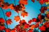 Iowa Fall 2026 Looks Warm And Dry Says Farmers Almanac