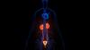 <![CDATA[Implementing GU Takeaways From the 2026 ASCO Into Clinical Practice]]>