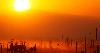 Big Oil Is Getting Sued for Heat Deaths. It’s Fighting Back With an Army of Immunity Laws.