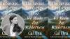 Cal Flyn explored the Earth’s wild places to write ‘The Savage Landscape’