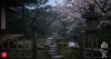 Japanese Mindset: 'Yūgen'- The Japanese philosophy that reveals the beauty beyond words