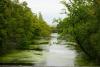 Algal blooms accelerate microplastic pollution, study suggests