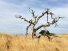 Utah Drought Aid Programs For Farmers And Ranchers Hit By Losses