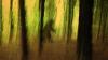 ‘I’m No Longer A Skeptic’: Connecticut Man Reports Encountering 8-Foot-Tall ‘Creature’ He Believes Was Bigfoot