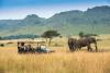 Kenya in Contrast at andBeyond Camps