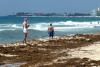 Mexico to unveil sargassum plan as crisis worsens in Caribbean