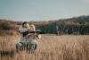 Hunter education opportunities offered in Glasgow in August
