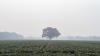 Ohio National Guardsmen hospitalized due to wildfire smoke