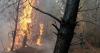 France battles worst wildfire disaster in decades as blazes spread across Europe