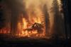 Where Is Everyone? Freeing Nature and the Subhumans