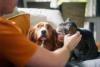 Scientists Just Studied Whether Pets Make You Healthier