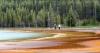 Montana woman behind viral Yellowstone video says the internet missed the point