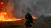 Canada’s 2023 wildfires burned 15.1 million hectares and released 554 million tonnes of carbon