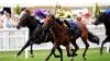 'I got five winners on Glorious Goodwood day one – here's my best day two tips'