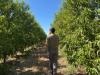 Can AI help Central Valley farmers feed a growing world population? A new supercomputer may hold the answer