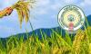 Complete crop insurance registration by July-end, farmers told