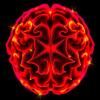 Massey researchers uncover pathway that could transform glioblastoma treatment options