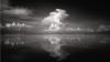 Taken for granted? Florida's water sources shrinking, becoming polluted