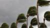Off Mexico, Hurricane Genevieve hits Category 5, a first for the East Pacific in 2 years