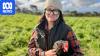 Poultry farmers concerned about local bird flu spread
