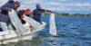 Noise pollution threatening marine life in the Western Indian Ocean
