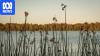 Concerns prohibited fishing is killing turtles at popular lake