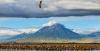 Tanzania and Kenya  call for protection of flamingoes  at Lake Natron