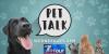 Pet Talk: Keeping your furry friend away from the furniture