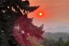 Montana’s Power Grid Gets Federal Support During Record Heat