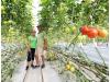 Farm to Flavours guides aim to connect southeastern Ontario residents with the neighbours who grow their food